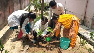 Ballia-cms-plant