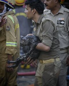 Lucknow coaching fire